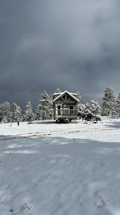 Cabins With A Mountain View 4A ウィリアムズ エクステリア 写真
